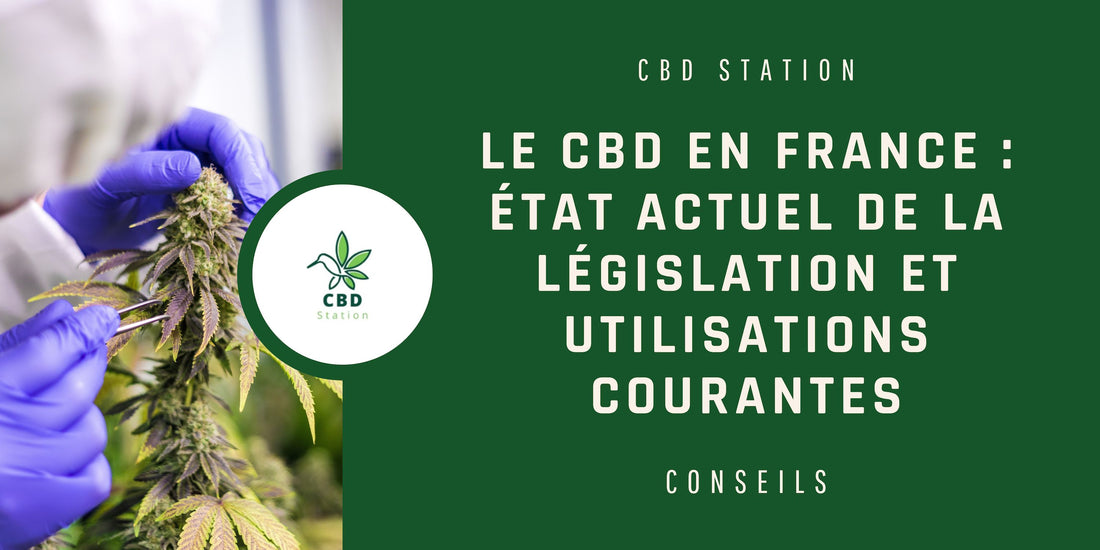 Le CBD en France : État actuel de la législation et utilisations courantes